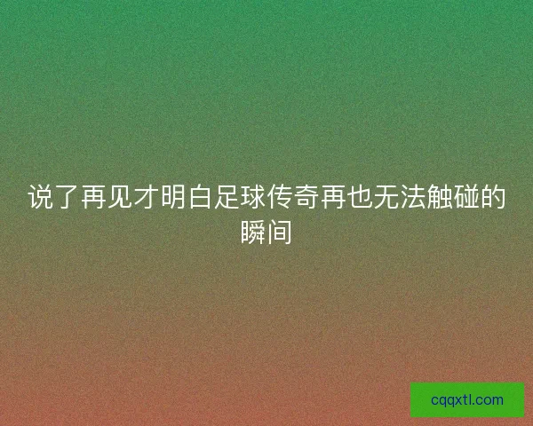 说了再见才明白足球传奇再也无法触碰的瞬间